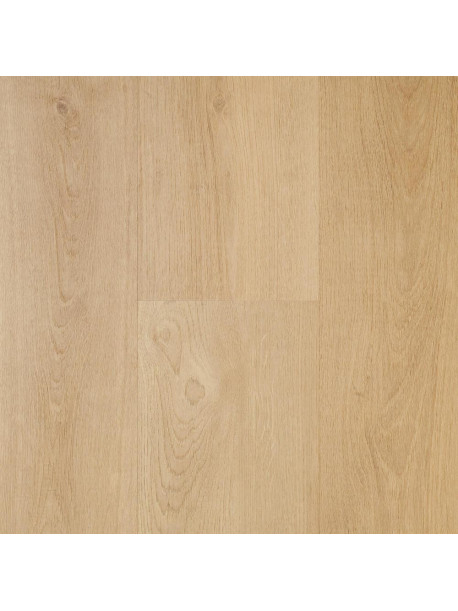 Vinylová lepená podlaha Dub Canyon EWH-7002 2,5 mm